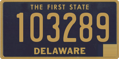 DE license plate 103289