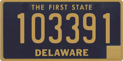 DE license plate 103391