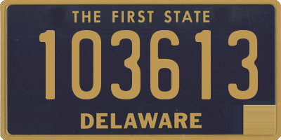 DE license plate 103613