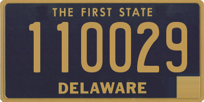 DE license plate 110029