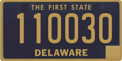 DE license plate 110030