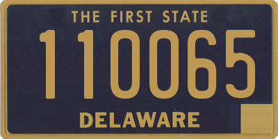 DE license plate 110065