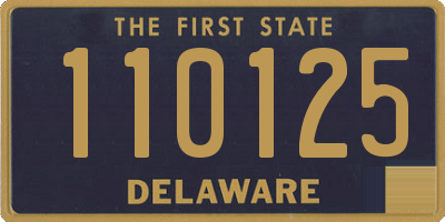 DE license plate 110125