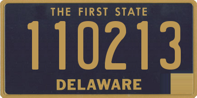 DE license plate 110213