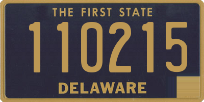 DE license plate 110215