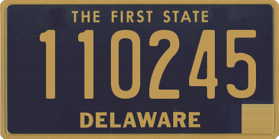 DE license plate 110245