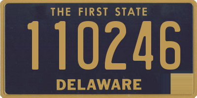 DE license plate 110246