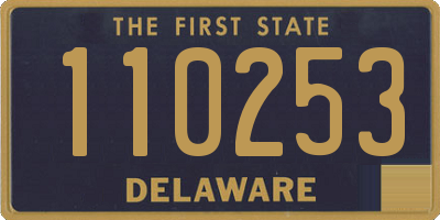 DE license plate 110253