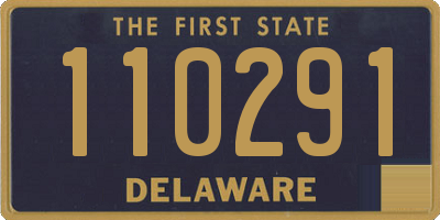 DE license plate 110291