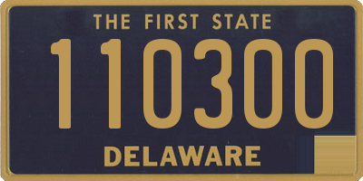 DE license plate 110300