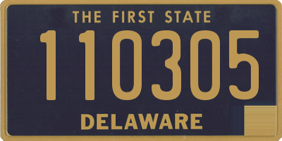 DE license plate 110305