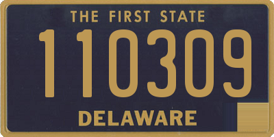 DE license plate 110309