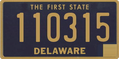 DE license plate 110315