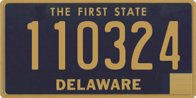 DE license plate 110324