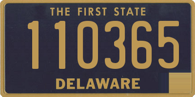 DE license plate 110365