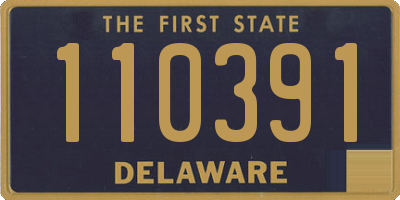 DE license plate 110391