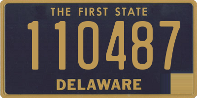 DE license plate 110487