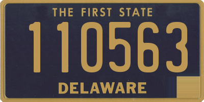 DE license plate 110563