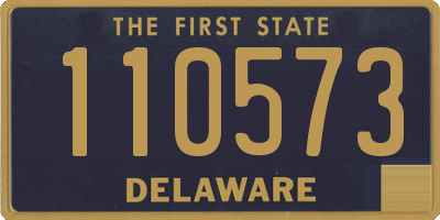 DE license plate 110573