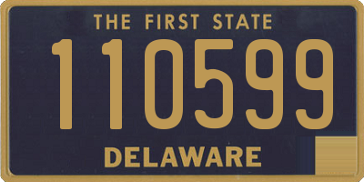 DE license plate 110599