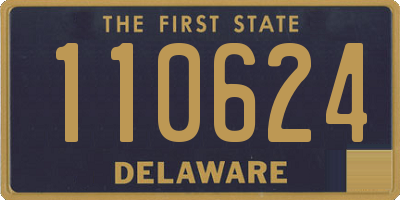 DE license plate 110624