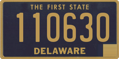 DE license plate 110630