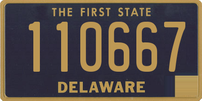 DE license plate 110667