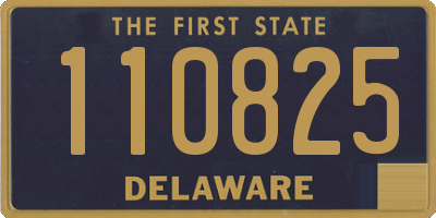 DE license plate 110825