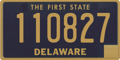 DE license plate 110827