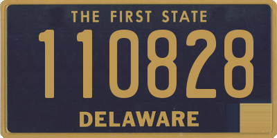 DE license plate 110828