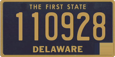 DE license plate 110928