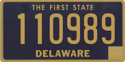 DE license plate 110989