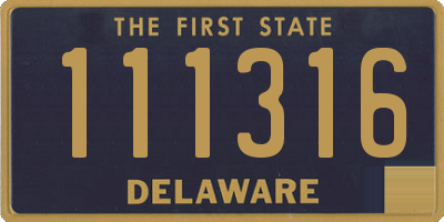 DE license plate 111316