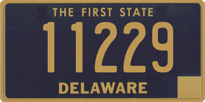 DE license plate 11229