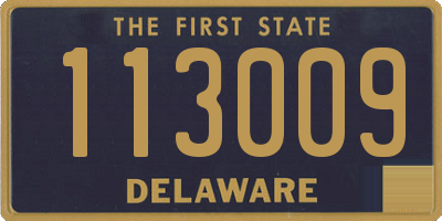 DE license plate 113009