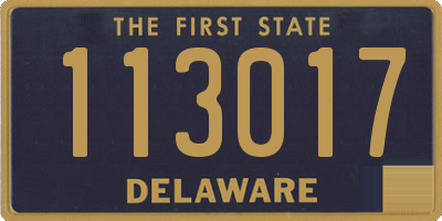 DE license plate 113017