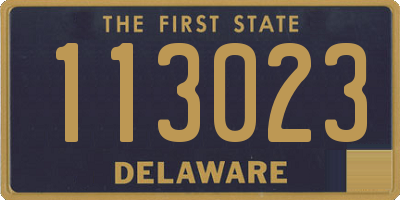 DE license plate 113023