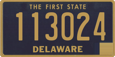 DE license plate 113024