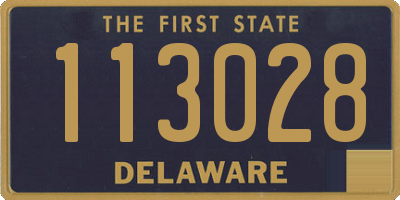 DE license plate 113028