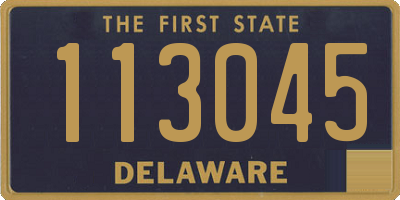 DE license plate 113045