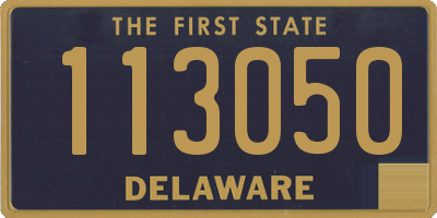 DE license plate 113050