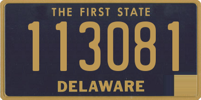 DE license plate 113081