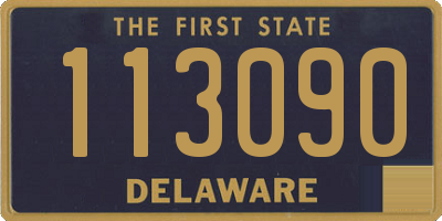 DE license plate 113090