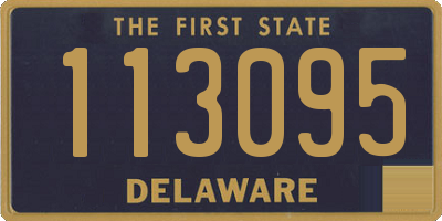 DE license plate 113095