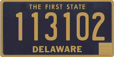 DE license plate 113102