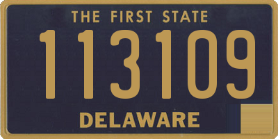 DE license plate 113109