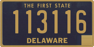 DE license plate 113116