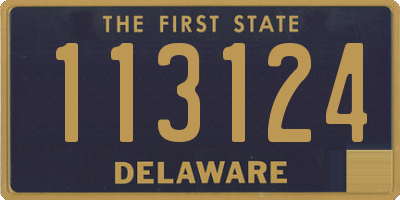 DE license plate 113124