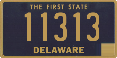 DE license plate 11313