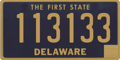 DE license plate 113133